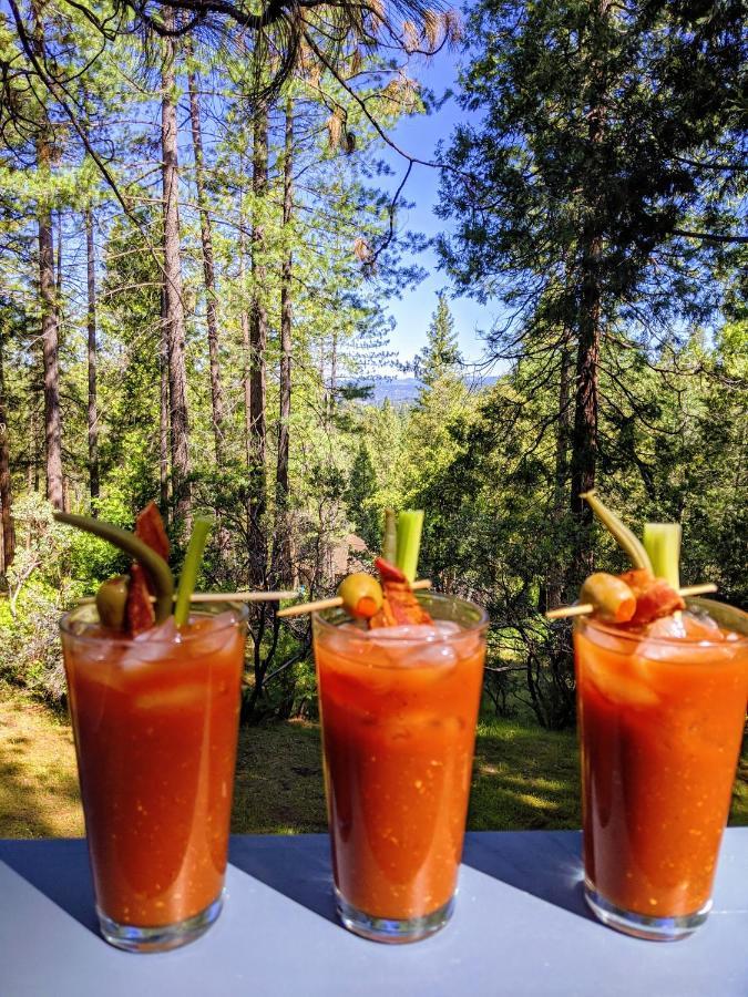 Breckenridge Chalet Near Yosemite. Dog Friendly! Groveland Exterior foto