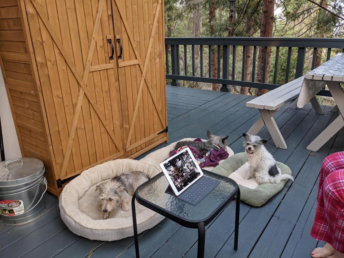 Breckenridge Chalet Near Yosemite. Dog Friendly! Groveland Exterior foto